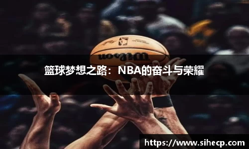 篮球梦想之路：NBA的奋斗与荣耀